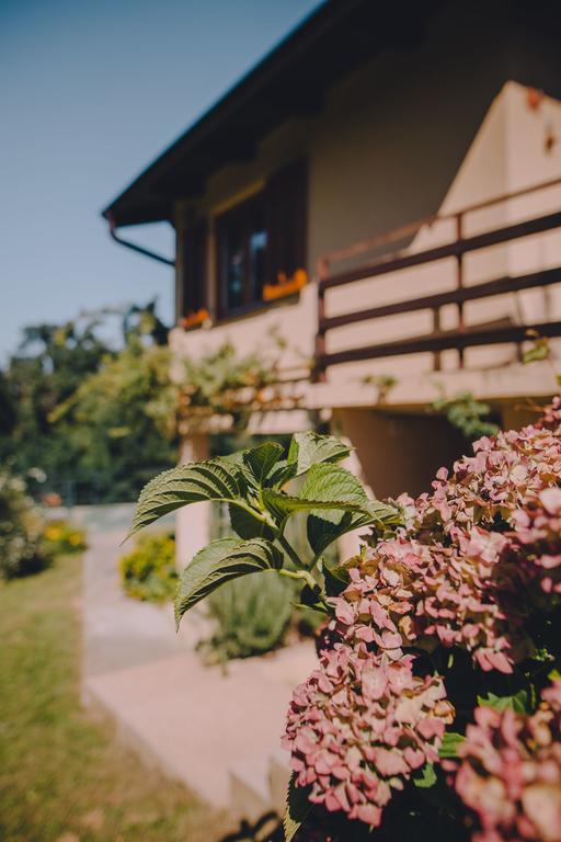 Holiday Home Castanea Praporcan Exterior photo